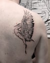 Tatouage d'une grue aux ailes déployées sur l'épaule
